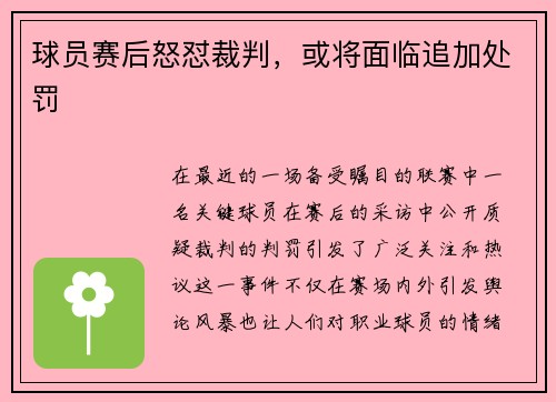 球员赛后怒怼裁判，或将面临追加处罚